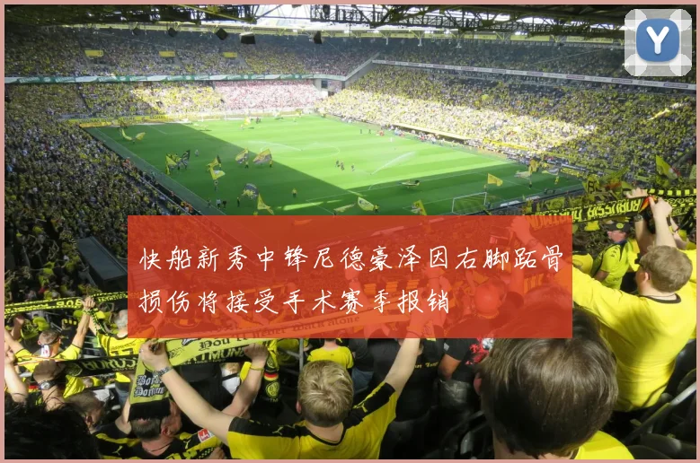 快船新秀中锋尼德豪泽因右脚跖骨损伤将接受手术赛季报销